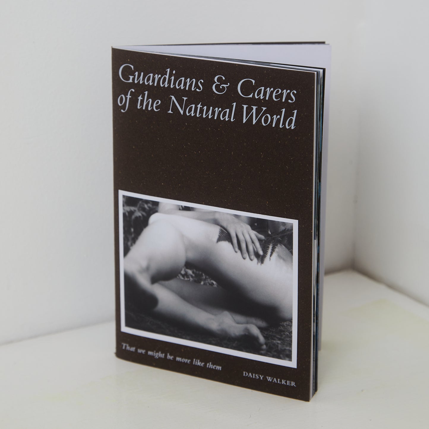 Book: Guardians & Carers of the Natural World